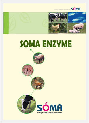 Soma Enzymes  Made in Korea